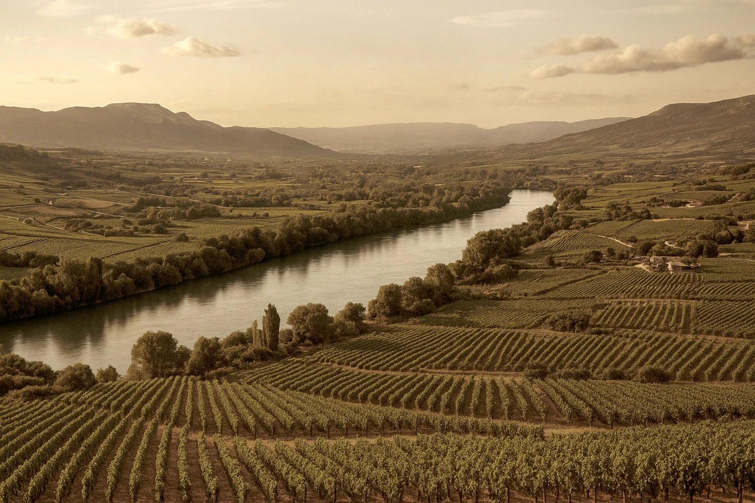 Rhone Valley